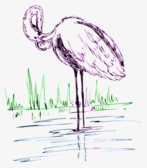 Water, Drawing, Bird, Grass, Wings, Art, Flamingo - Flamingo In Water Drawing