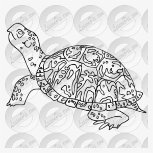 Outline For Classroom Therapy Use Great - Turtle