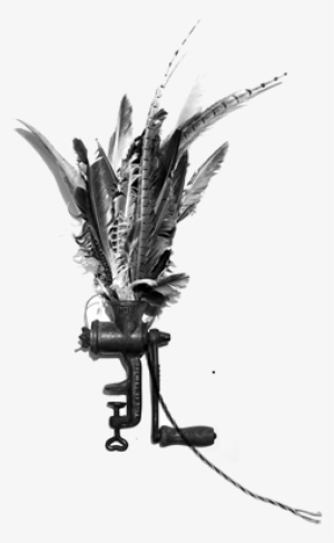 Feathers - Monochrome