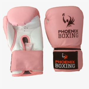 Boxing Glove