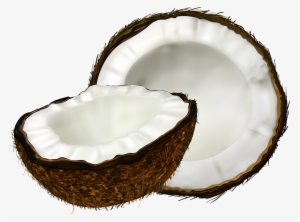 Coconut Png