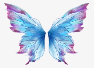 Report Abuse - Butterfly Wings Png