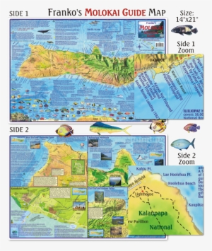 Franko Maps Molokai Guide Map