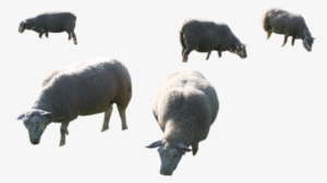 Img - Indian Family Eating Png