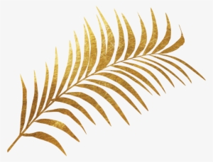 Golden Plant - Fern Leaf Gold