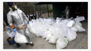 Cocaine Facts Flowboard - Drug Mariana