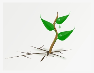 Mb Image/png - Plant Growing Clipart