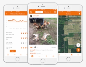 Rabbit - Cloud Imperium Games