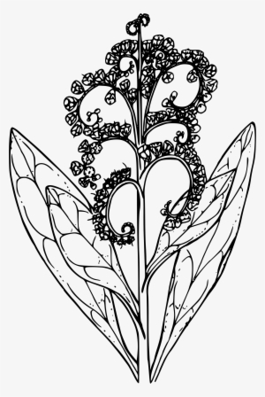 This Free Icons Png Design Of Common Hound's Tongue