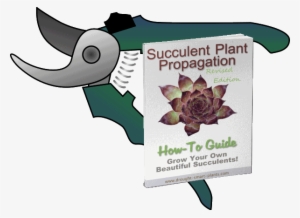Succulent Plant Propagation How-to Guide, Revised Edition - Pruning Shears Clipart