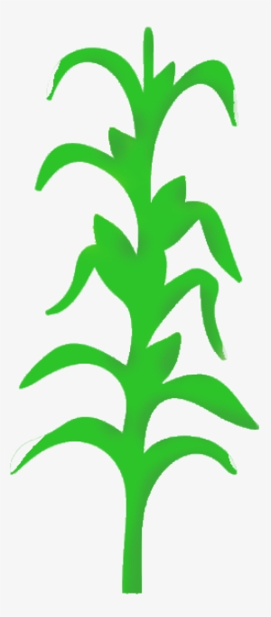 Index Of Files Uploads Group Cornstalkclipartpng - My Wonderful Walls Cornstalk Stencil