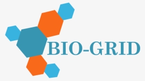 Bio Grid Cleanroom Ceiling System 01 - Ceiling