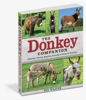 The Donkey Companion - Donkey Companion: Selecting, Training, Breeding, Enjoying
