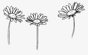 Drawing Outline Sunflowers Flower Tumblr - Transparent Flowers Black And White