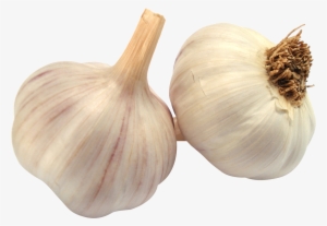 Garlic Png