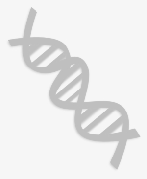 How To Set Use Dna Svg Vector