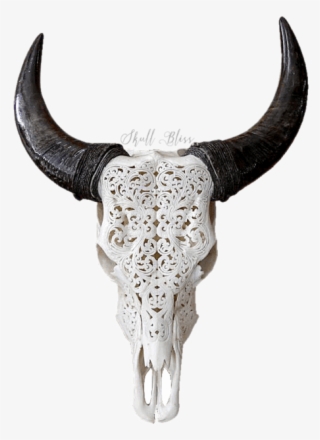 Carved Cow Skull // Xl Horns - Skull Of A Bull Black And White