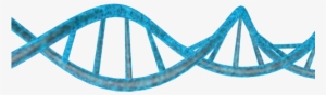 Double Strand Dna Png