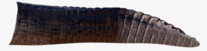 Alligator Rear - Cushion