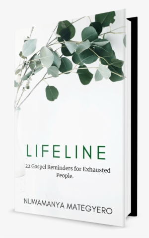 Lifeline Devotional - Bach & Vivaldi For Mandolin