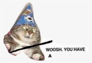 Memes Pyrocinical Nfkrz Dankmemes - Swoosh You Have Smol Pener