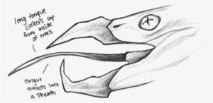 Long Tongue Png