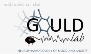 University Of Maryland School Of Medicine - Maryland