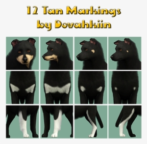 Tan Points Marking Set By Dovahkiin Kennel - Dog