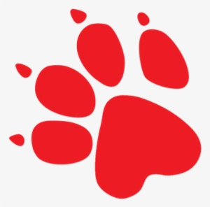 Photo - Logo De Naughty Dog