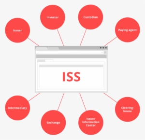 Whether Investor, Emitter Or Paying Agent - Schema