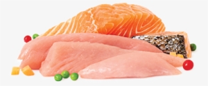 A Selection Of The Raw Ingredients - Raw Chicken & Salmon