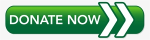 Donate Now Button Green