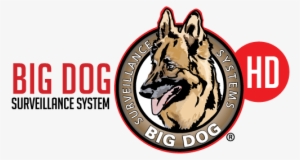 Big Dog Hd Surveillance Systems For The Restaurant - Rhythm Masters I Feel Love