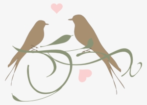 Love Birds - Birds Images Black And White