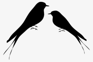 Png Black And White Love Bird