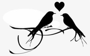 Love Birds Branch Png Clip Art