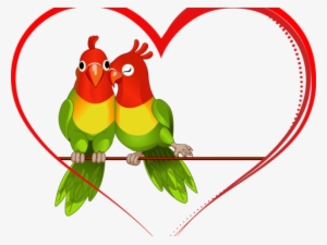 Love Birds Transparent Background