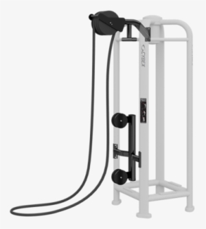 Download Physical Fitness Clipart Cybex International - Physical Fitness