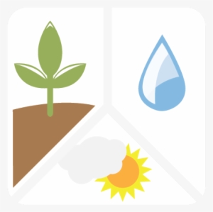 Nepal Forest Carbon Calculator - Icon