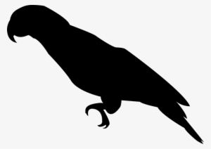 Parrot-1394537 640 - Silhueta Papagaio