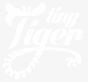 Website Launching Soon - Style Club