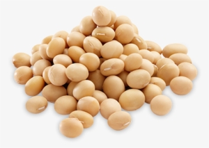 14%), Raw Sugar, Coffee Powder (0.5%) (robusta, Arabica), - Soybean Calcium