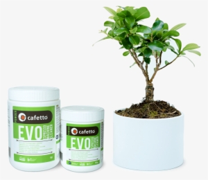 Powder And Tree - Cafetto Espresso Clean 1kg