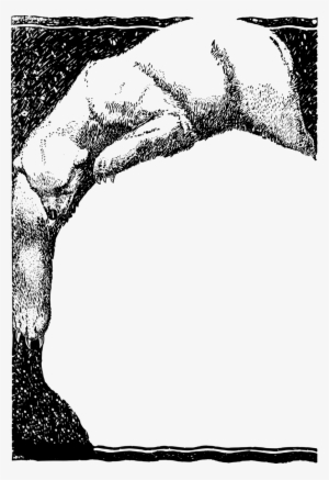 Monochrome Photography Clipart Polar Bear Clip Art - Visual Arts