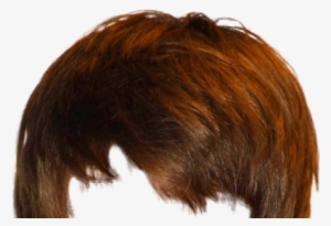 Lace Wig