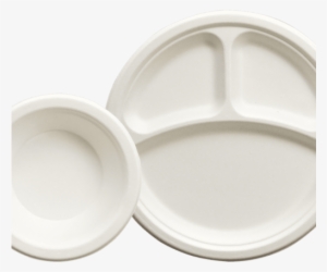Disposable Plates And Bowls - Environmentally Friendly