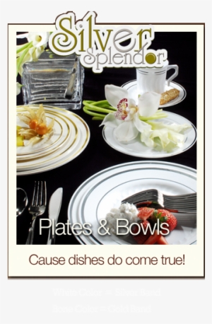 Silver Splendor Disposable Plates & Bowls - 375 Pieces Plastic China Plate Silverware Combo Like