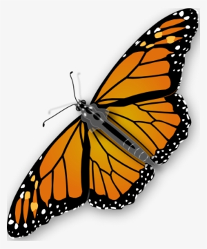 Monarch Butterfly Clipart Real Butterfly - Butterfly Png
