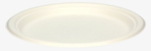 Natural Fiber Plate Flat 24cm - White
