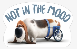 不在mooo - Secret Life Of Pets Dog With Wheels